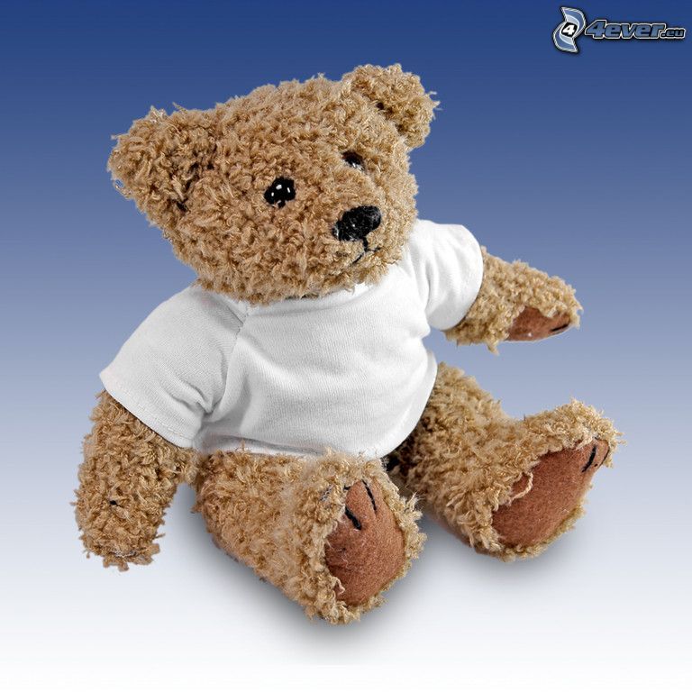 ours en peluche, chemise blanche