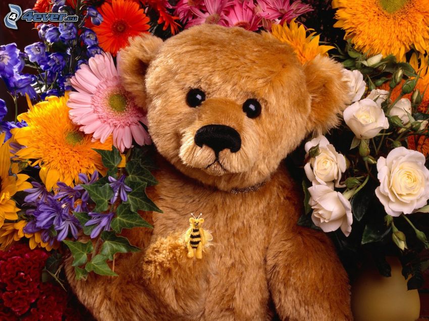ours en peluche, fleurs colorées, abeille