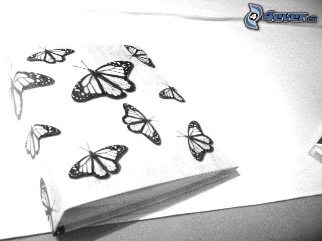 papillons, livre