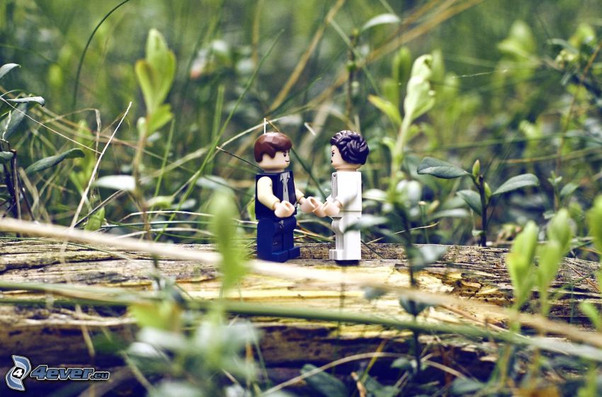 personnages, Lego, l'herbe