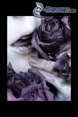 roses, lèvres