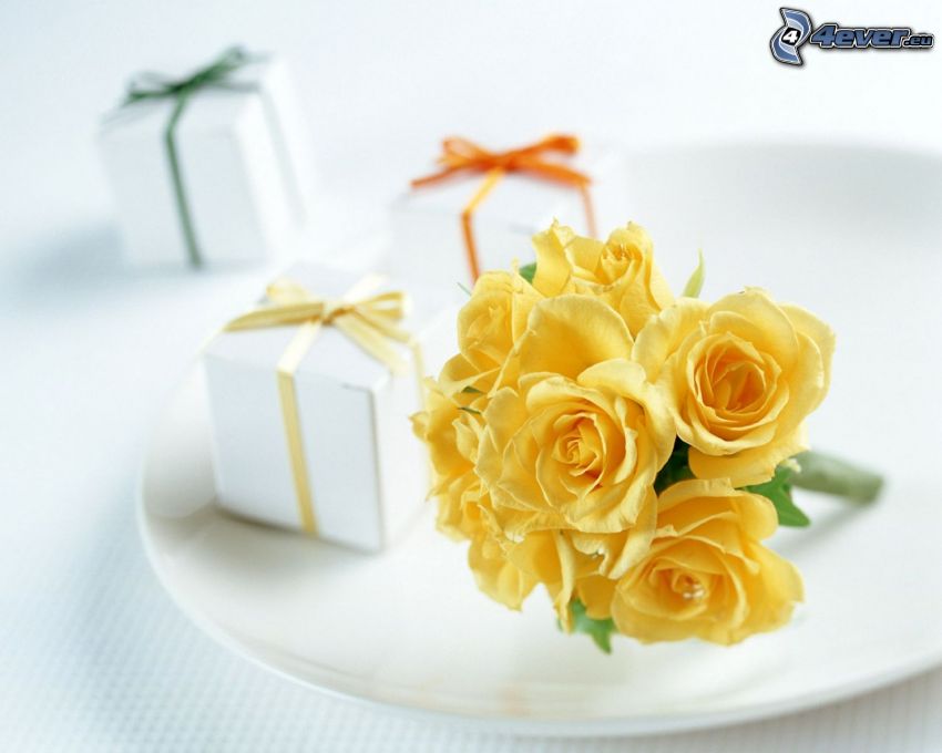 roses jaunes, cadeaux