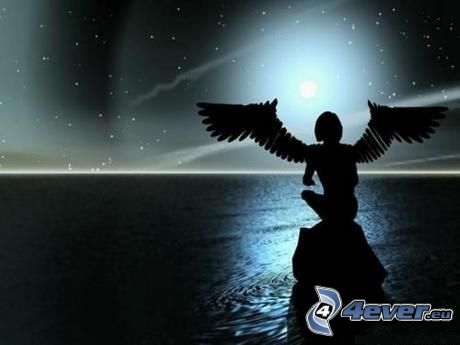 silhouette de femme, ange, nuit