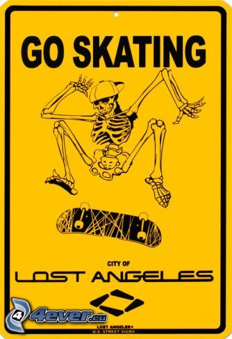skate, squelette