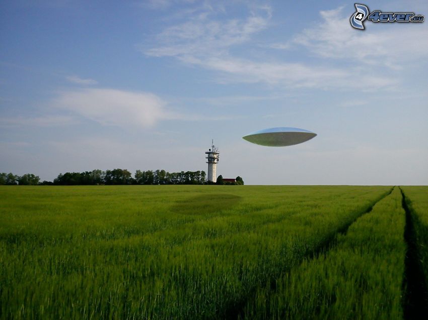 UFO, champ, prairie, ciel, phare