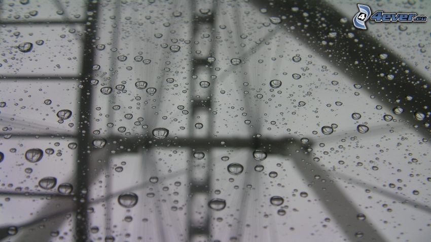 verre couverte de rosée, gouttes d'eau