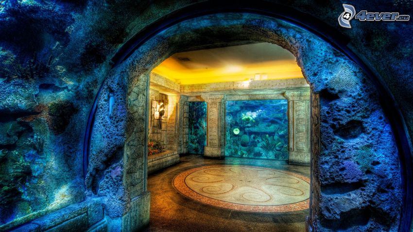 aquarium, chambre, HDR