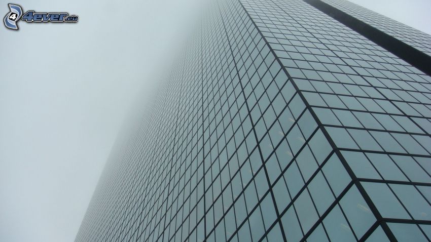 gratte-ciel, brouillard