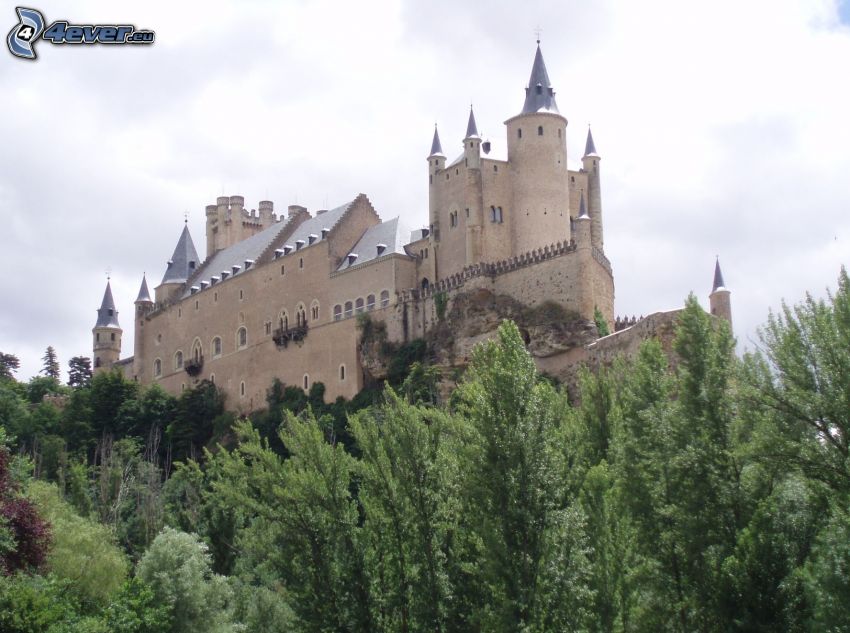 Alcázar of Segovia, forêt