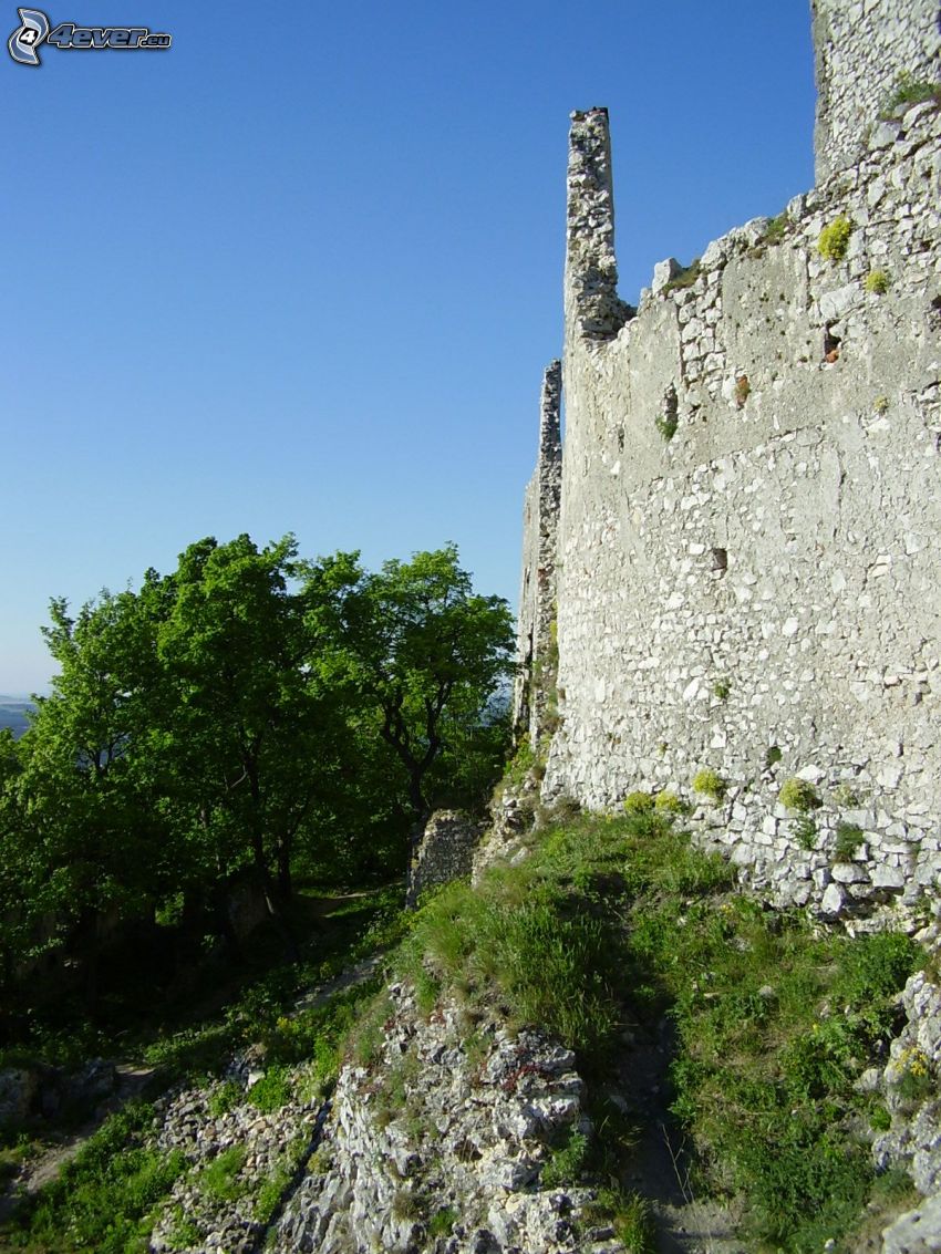 château, ruines