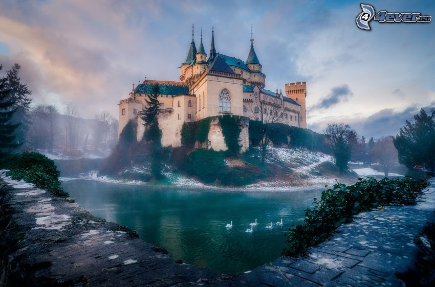 château de Bojnice, lac, cygnes, brouillard