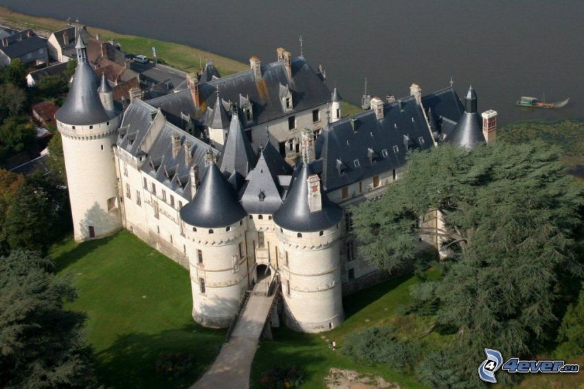 Château de Chaumont, arbres