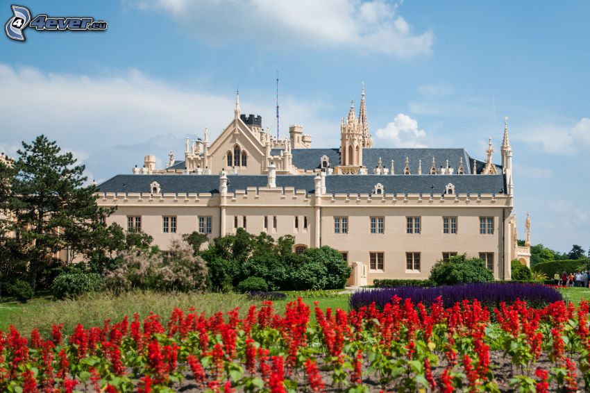 Château de Lednice, fleurs rouges, parc
