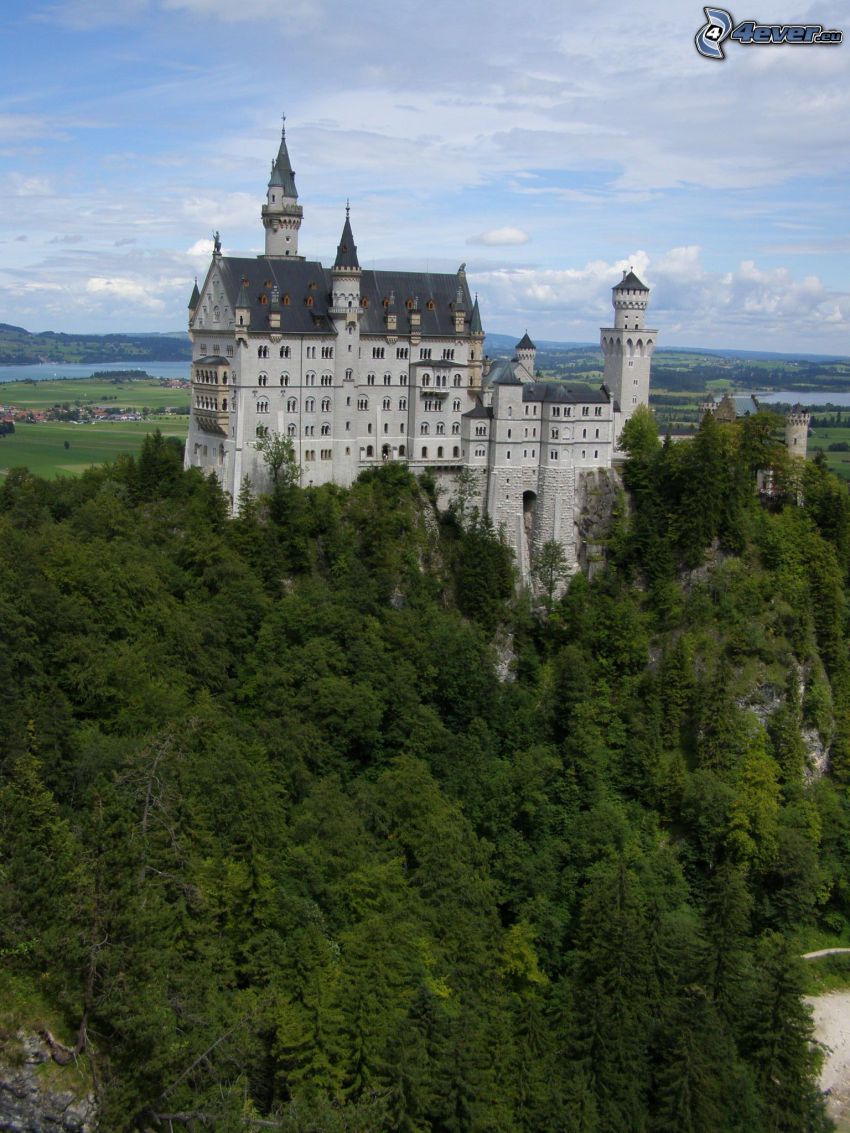 château de Neuschwanstein, Bavière, forêt, ciel