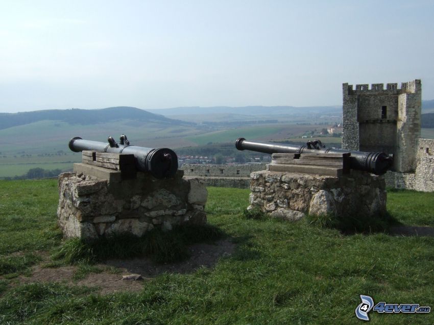 Château de Spiš, canon, Slovaquie