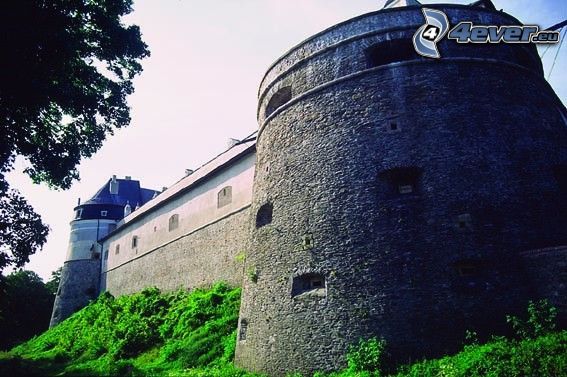 château fort červený kameň, château, Slovaquie, fortification