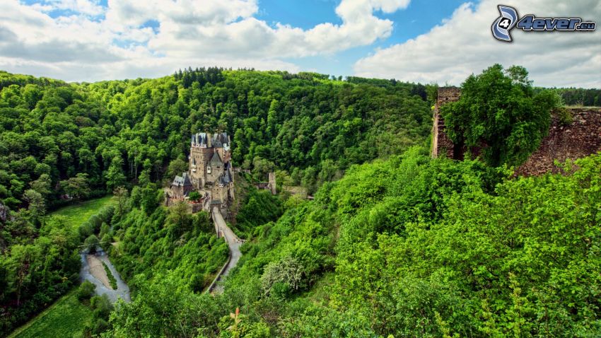 Eltz Castle, forêt, vert