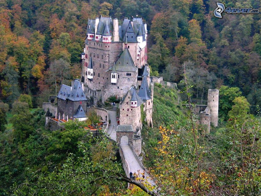 Eltz Castle, forêt