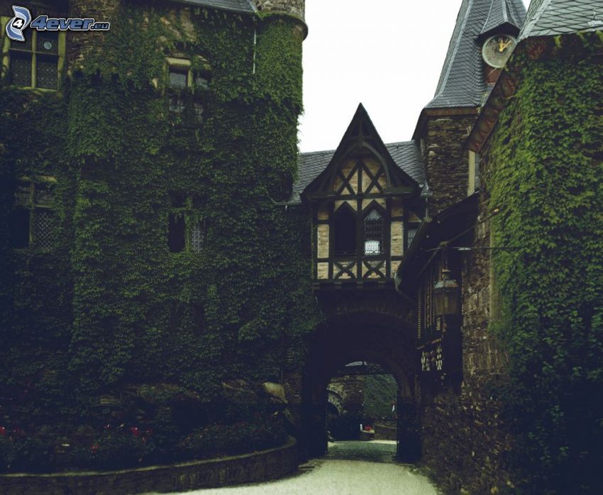 Eltz Castle, lierre, portail, tour