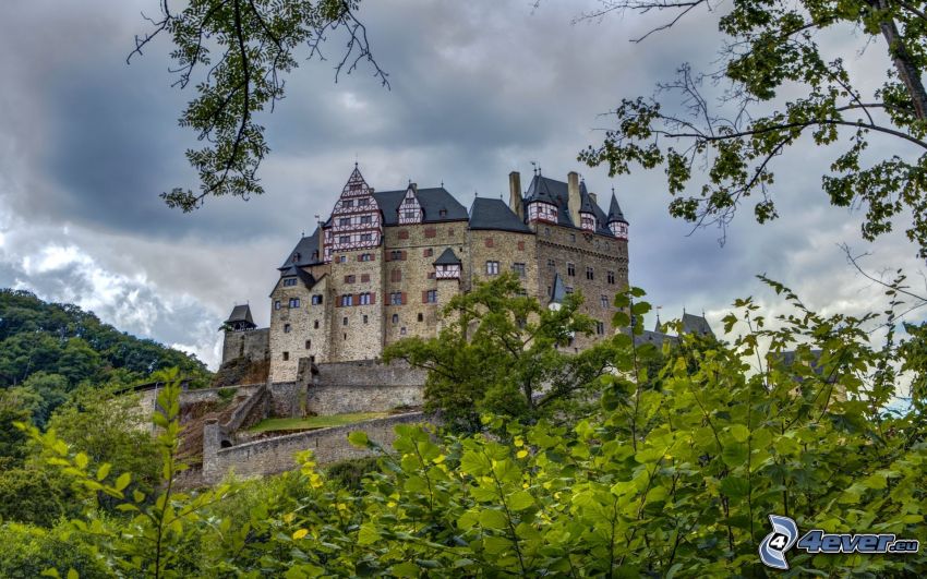 Eltz Castle, vert