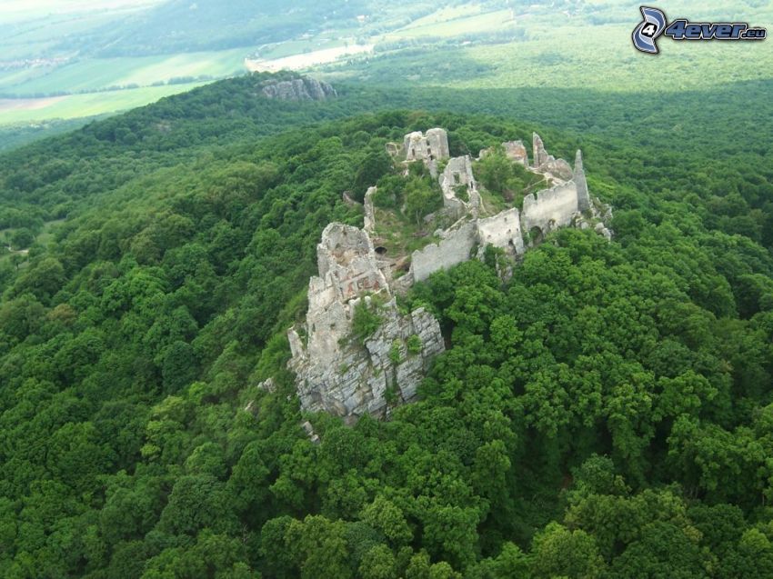 Gýmeš château, ruines, forêt