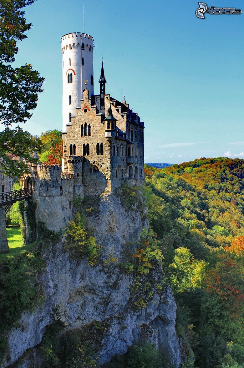 Lichtenstein Castle, forêt verte