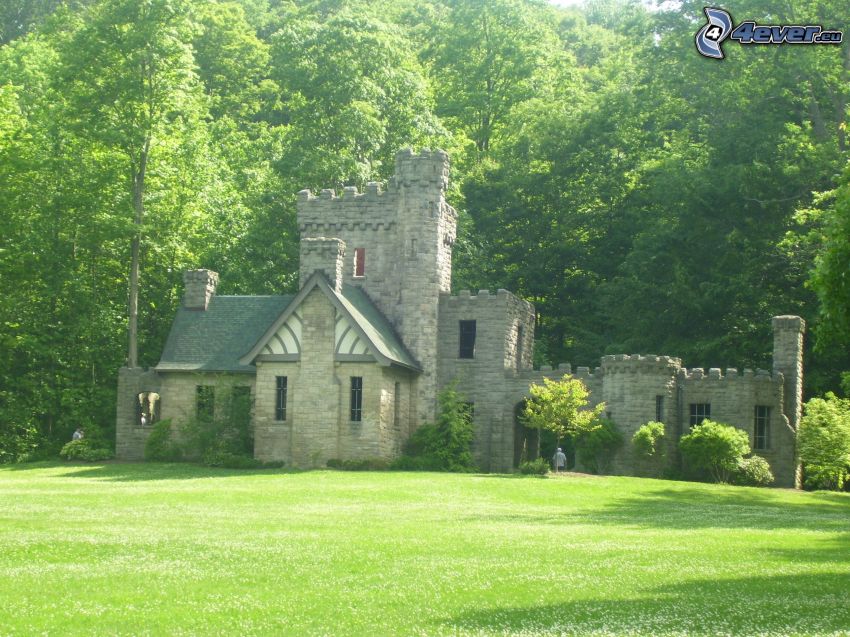 Squire's Castle, forêt, pelouse