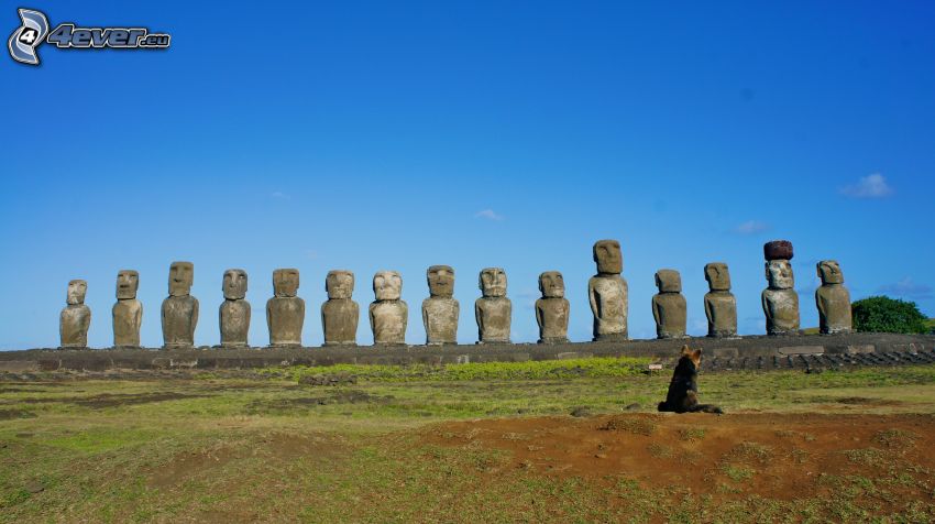 statues Moai, chien-loup, Île de pâques