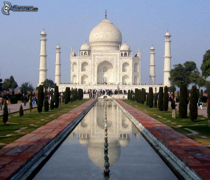 Taj Mahal, eau, arbres