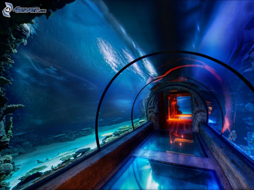 le tunnel sous-marin