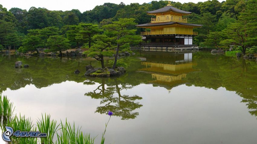 Maison japonaise, lac, arbres