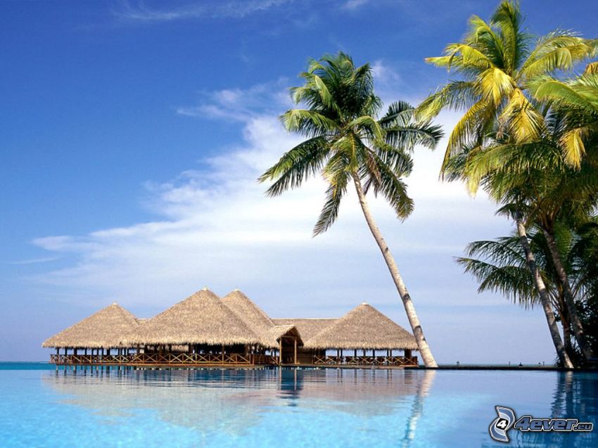 Maldives, palmiers, maison sur l'eau