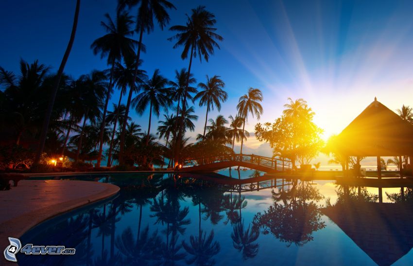 palmiers, coucher du soleil, piscine, pont de bois, tonnelle, vacances
