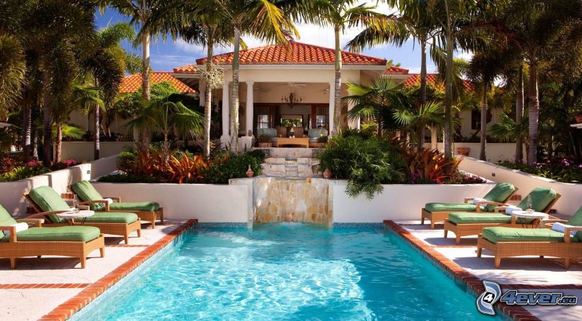 piscine, lits, palmiers, hotel