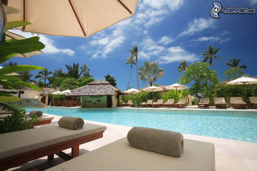 piscine, maison de luxe, palmiers, lits