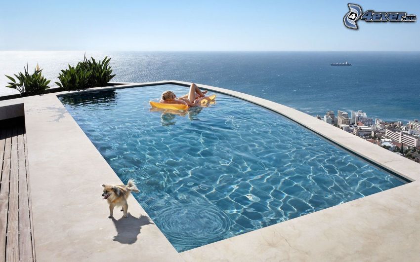 piscine, vue sur la mer, Gonflable, chien, femme dans la piscine