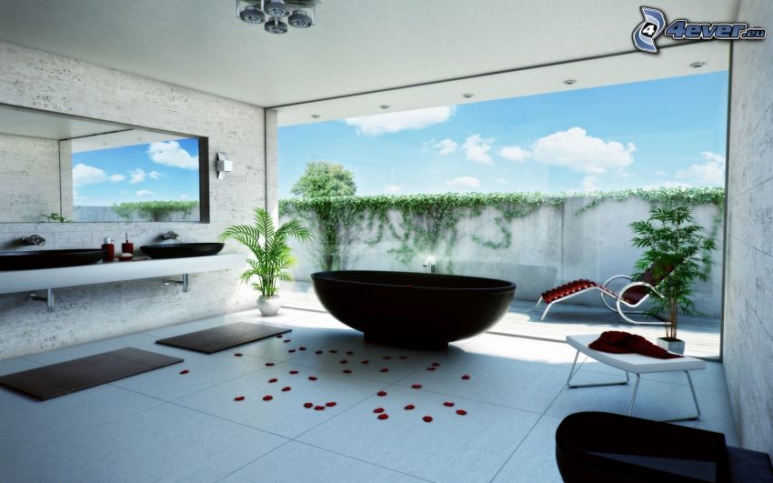 salle de bains, luxe, fenêtre, pétales de roses