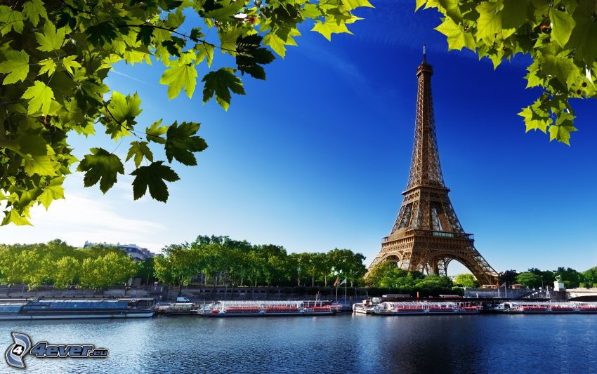 Tour Eiffel, rivière, feuilles vertes