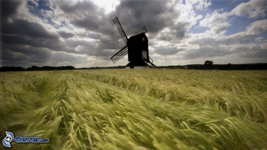 moulin à vent, champ de blé, nuages sombres