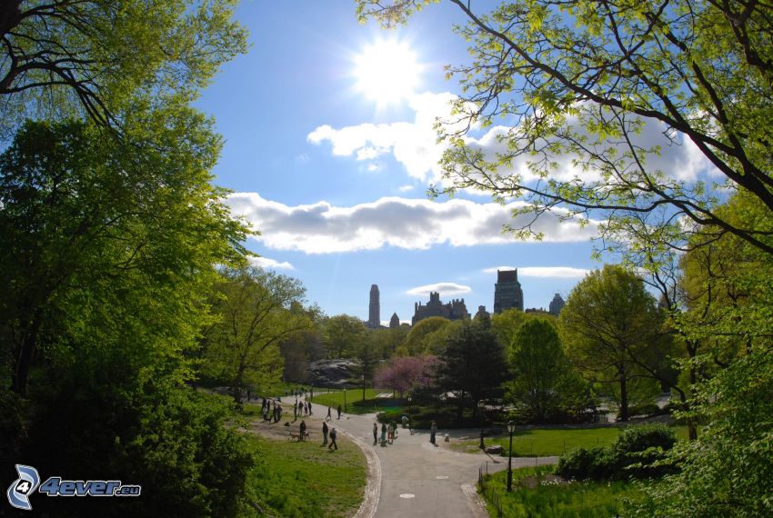Central Park, soleil