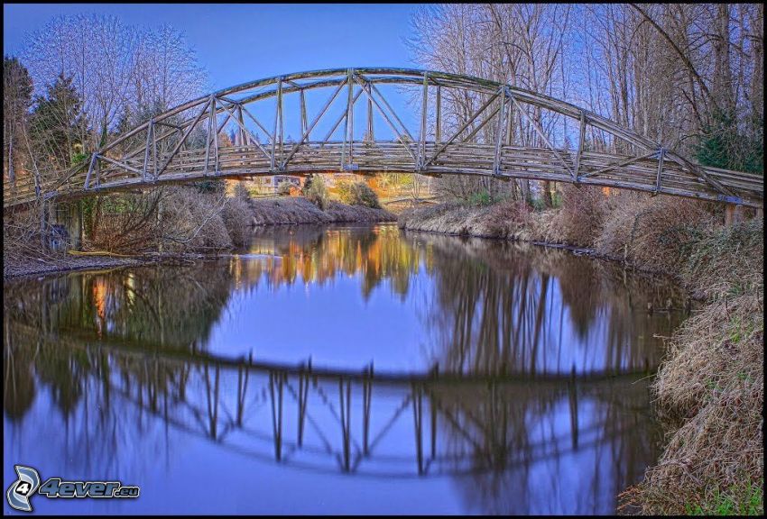 Bothell Bridge, pont de bois, reflexion, arbres secs