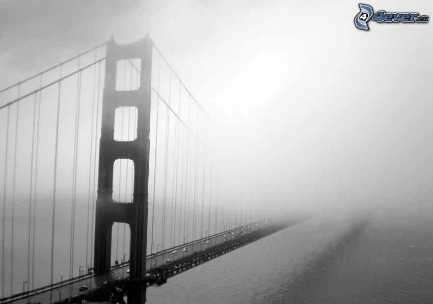 Golden Gate, brouillard
