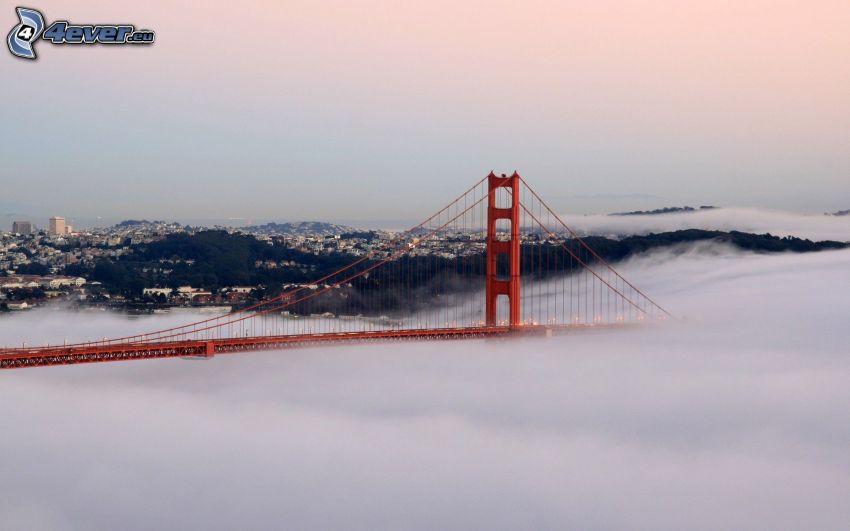 Golden Gate, brouillard sur la mer