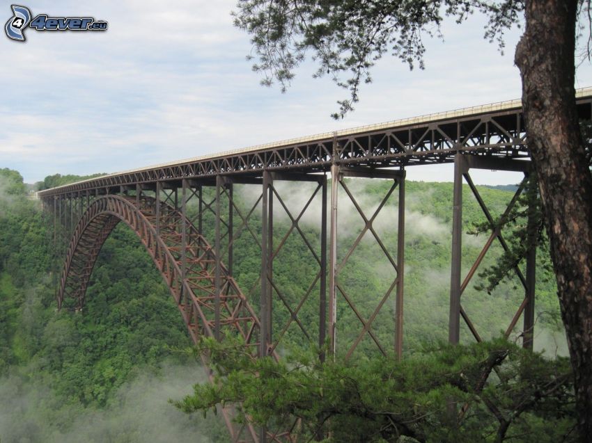 New River Gorge Bridge, brouillard