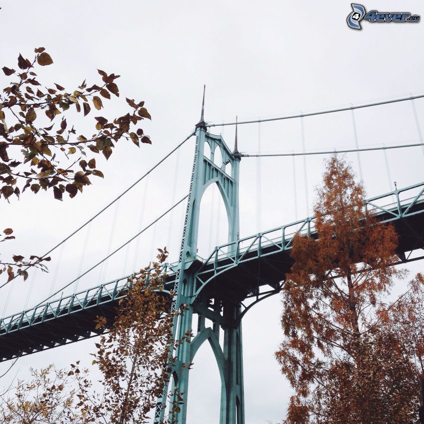 pont de St. Johns, arbres d'automne