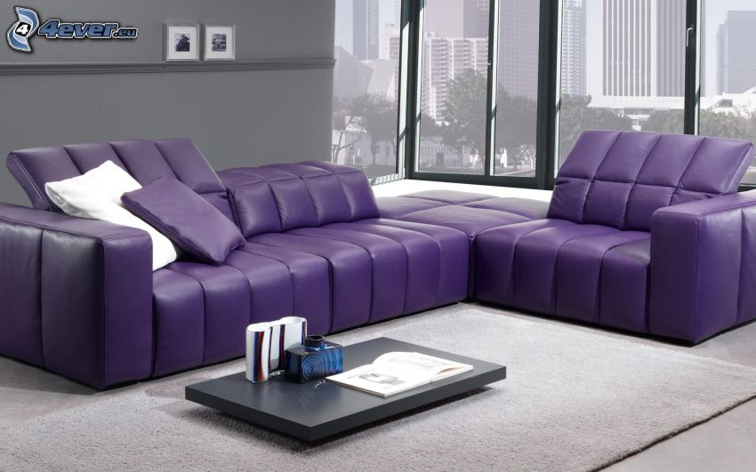 salle de séjour, canapé, violet