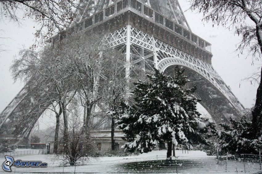 Tour Eiffel, arbres enneigés