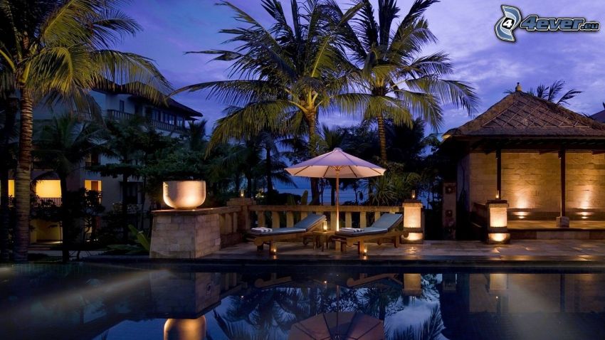 villa, piscine, palmiers, lits, parasol, soirée, éclairage