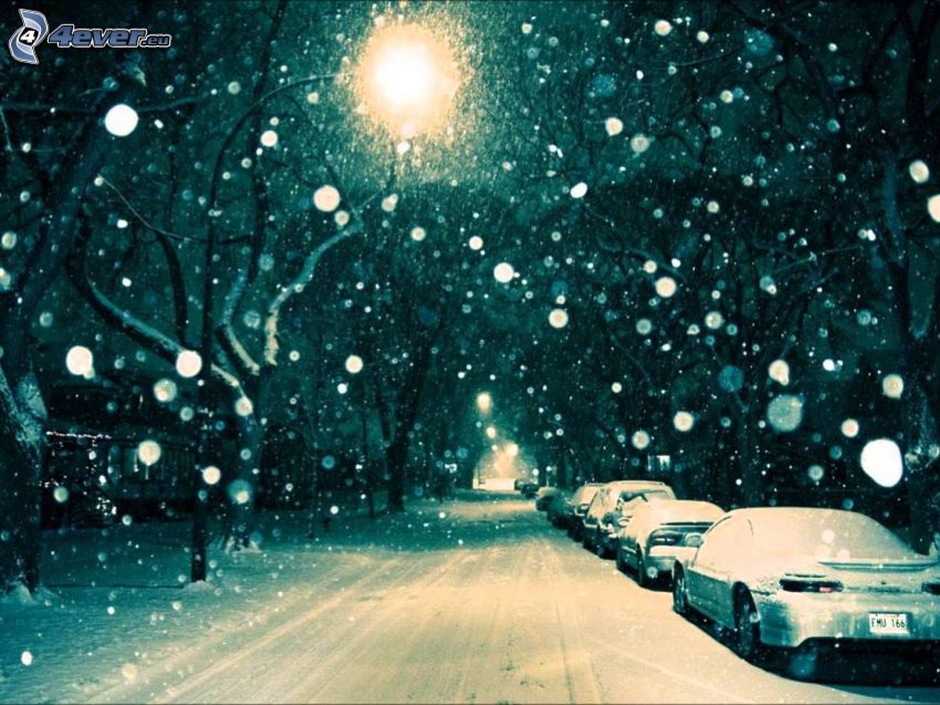enneigé rue, route enneigée, chute de neige