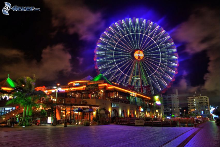 Grande roue, ville dans la nuit